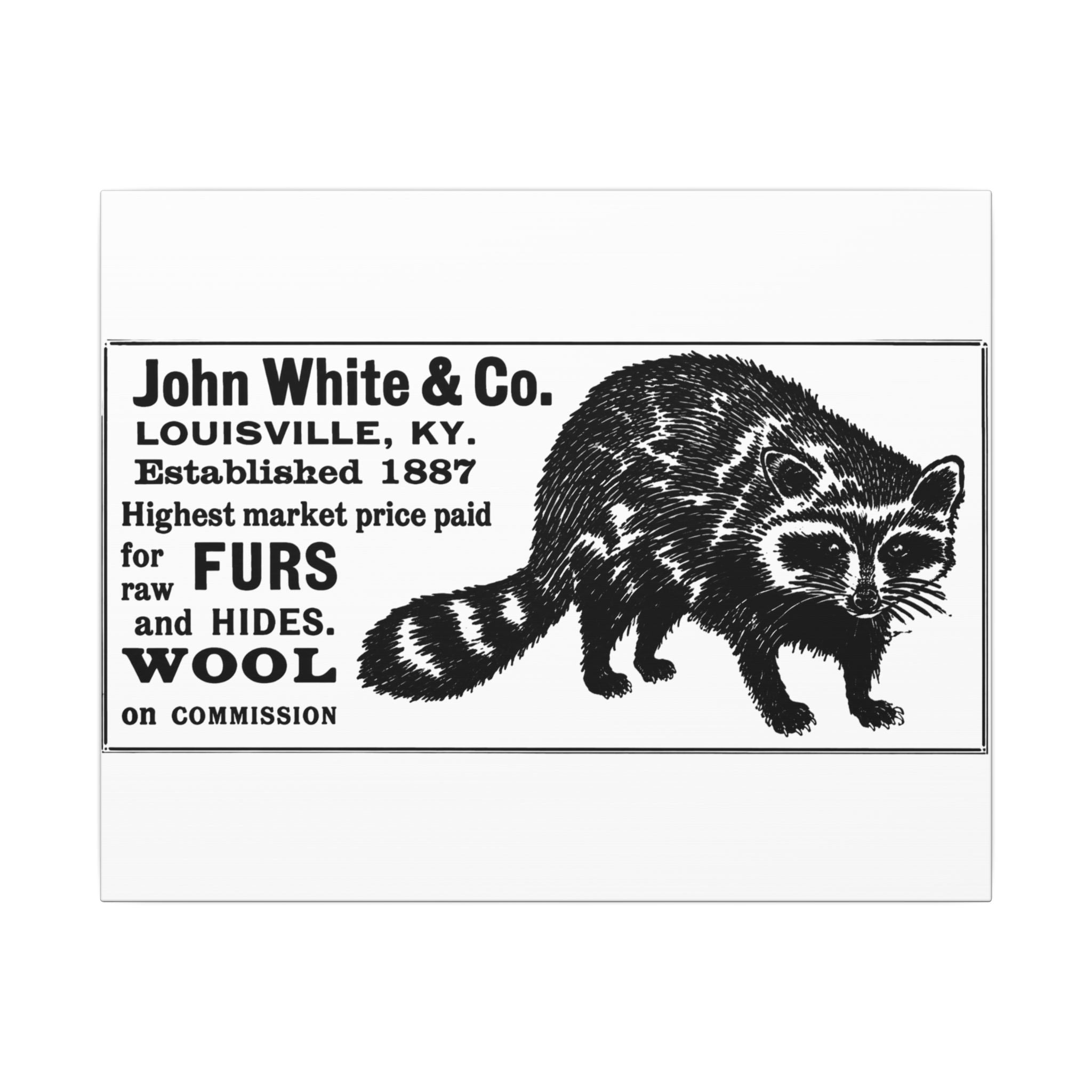 John White & Co. — Vintage NC Newspaper Ad Canvas Print
