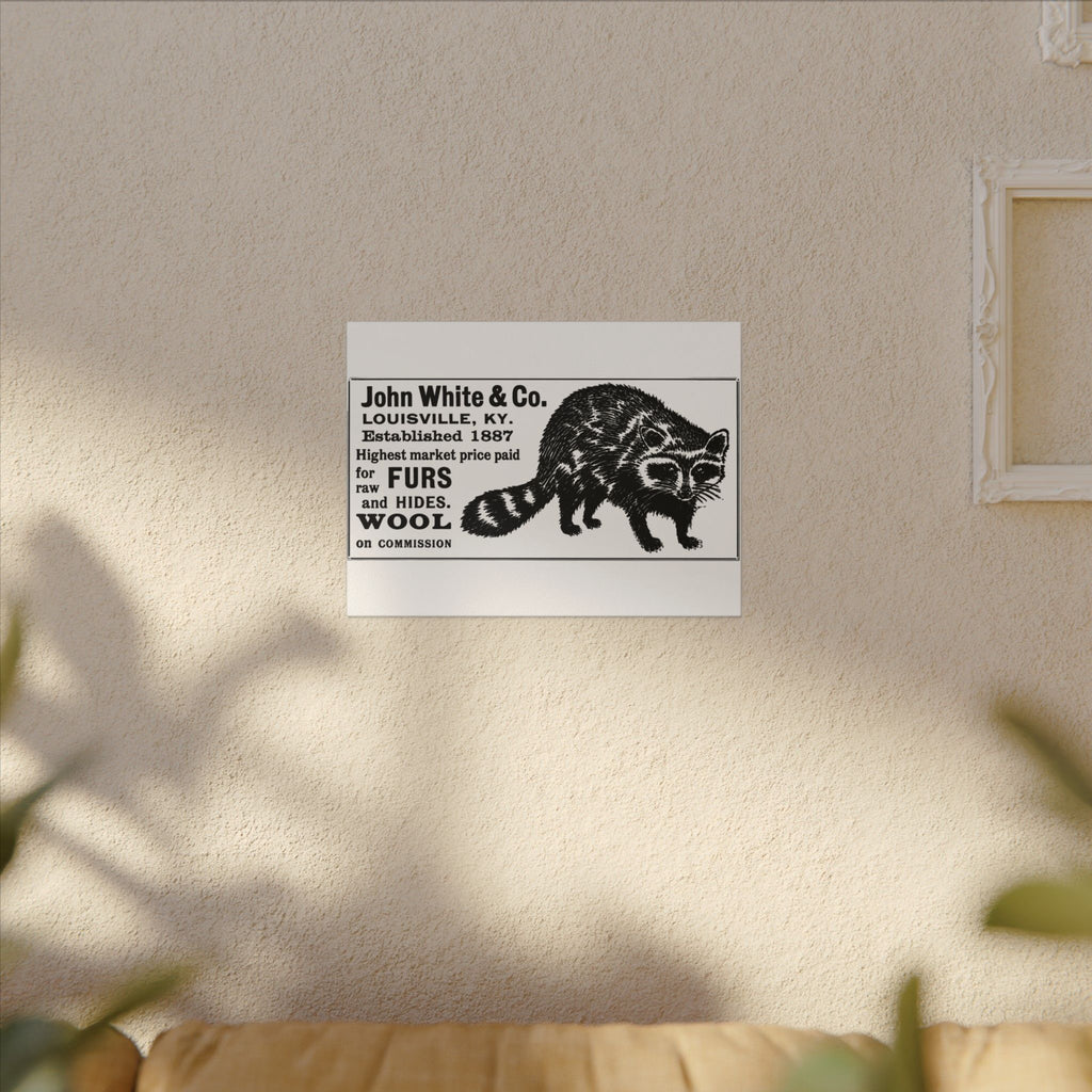 John White & Co. — Vintage NC Newspaper Ad Canvas Print