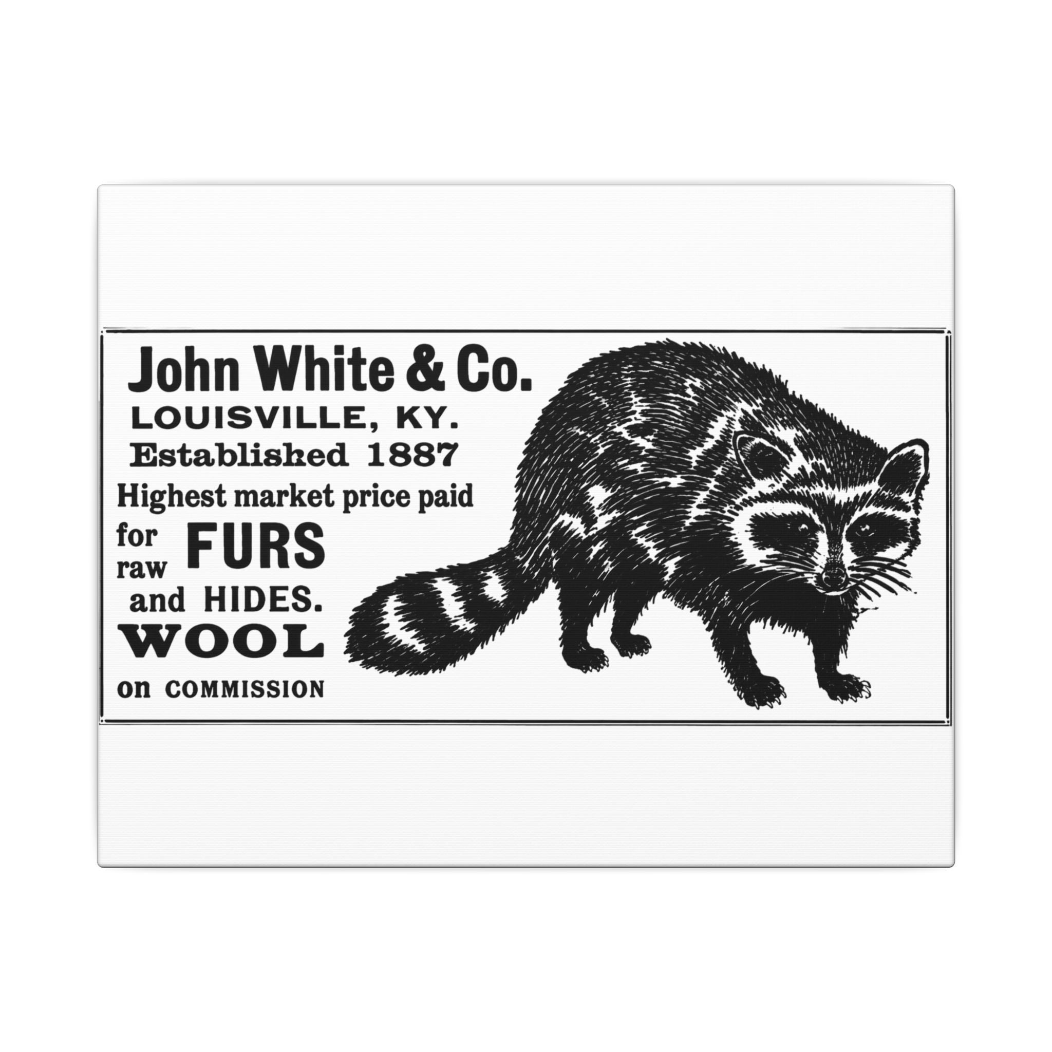 John White & Co. — Vintage NC Newspaper Ad Canvas Print