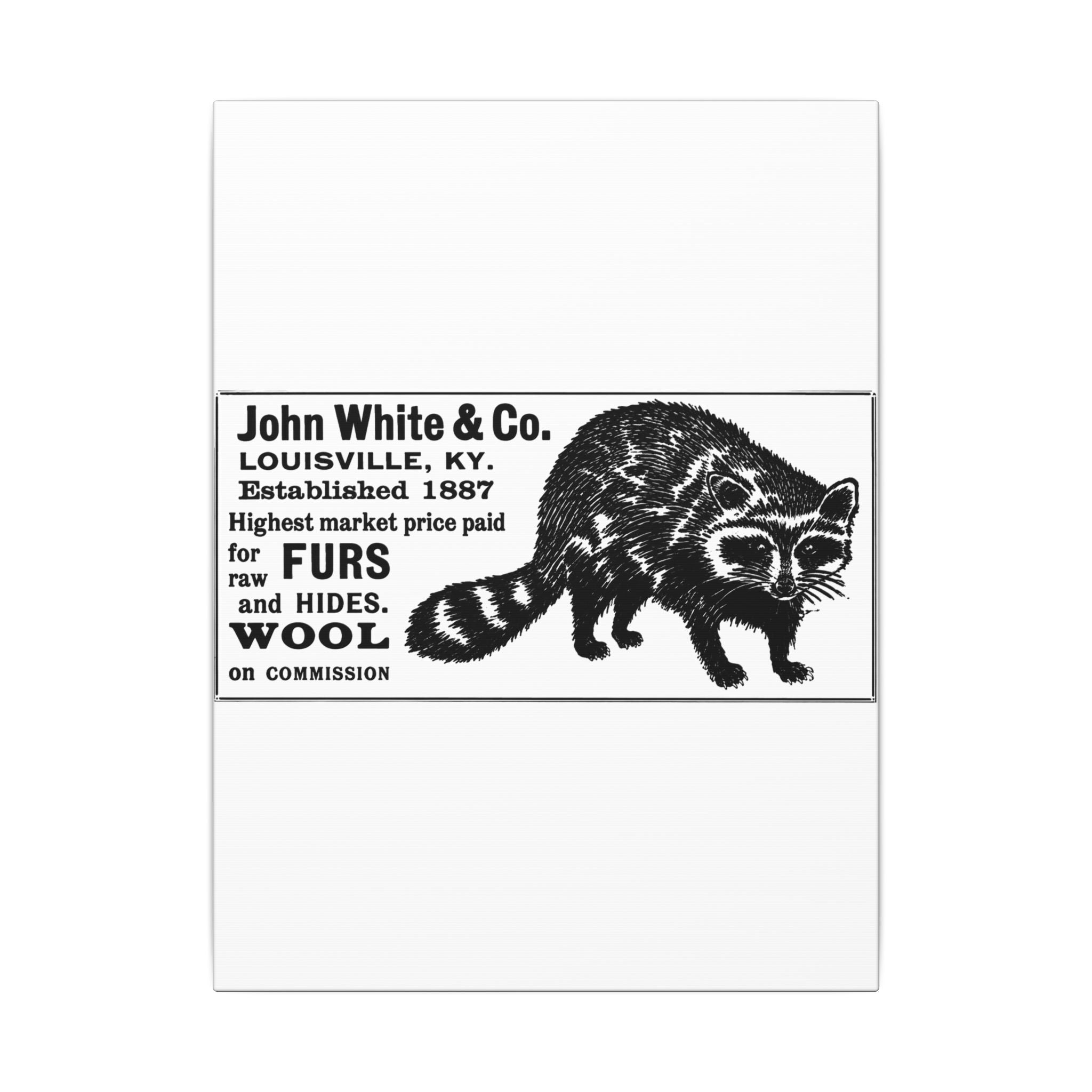 John White & Co. — Vintage NC Newspaper Ad Canvas Print