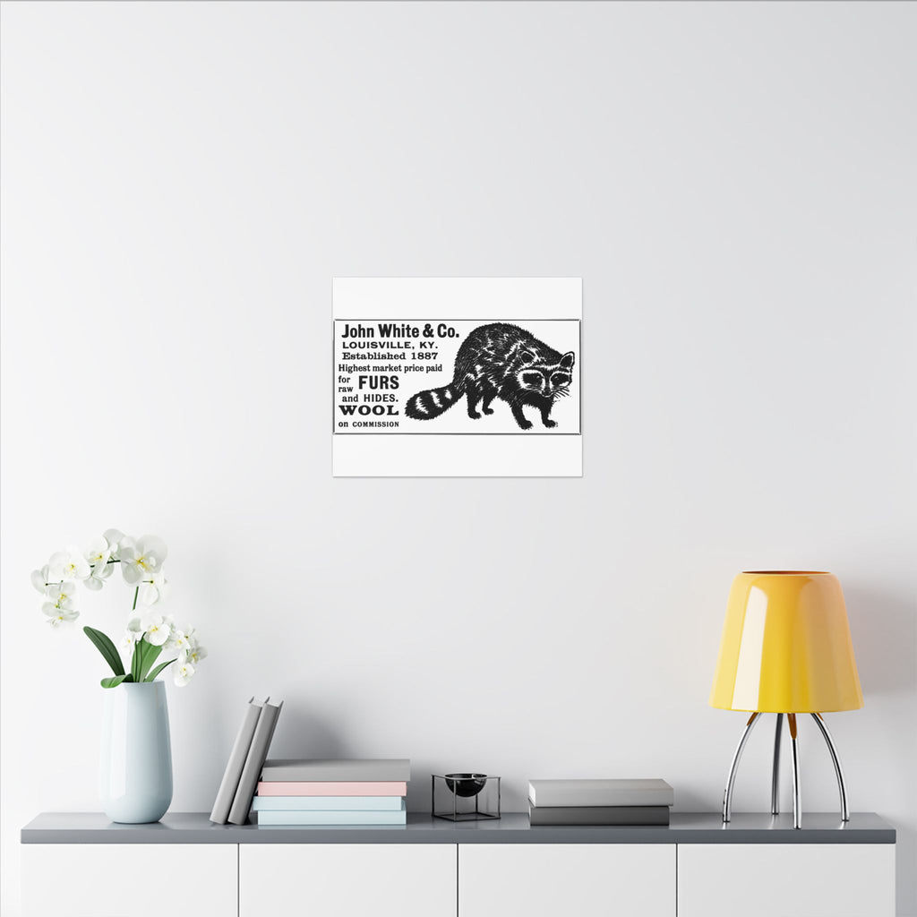 John White & Co. — Vintage NC Newspaper Ad Canvas Print
