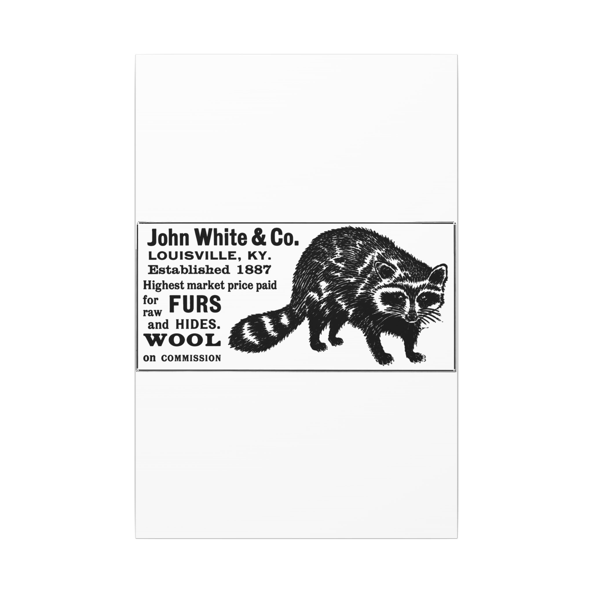 John White & Co. — Vintage NC Newspaper Ad Canvas Print