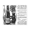 Sol Bear & Co. Scuppernong Wine — Vintage NC Newspaper Ad Canvas Print