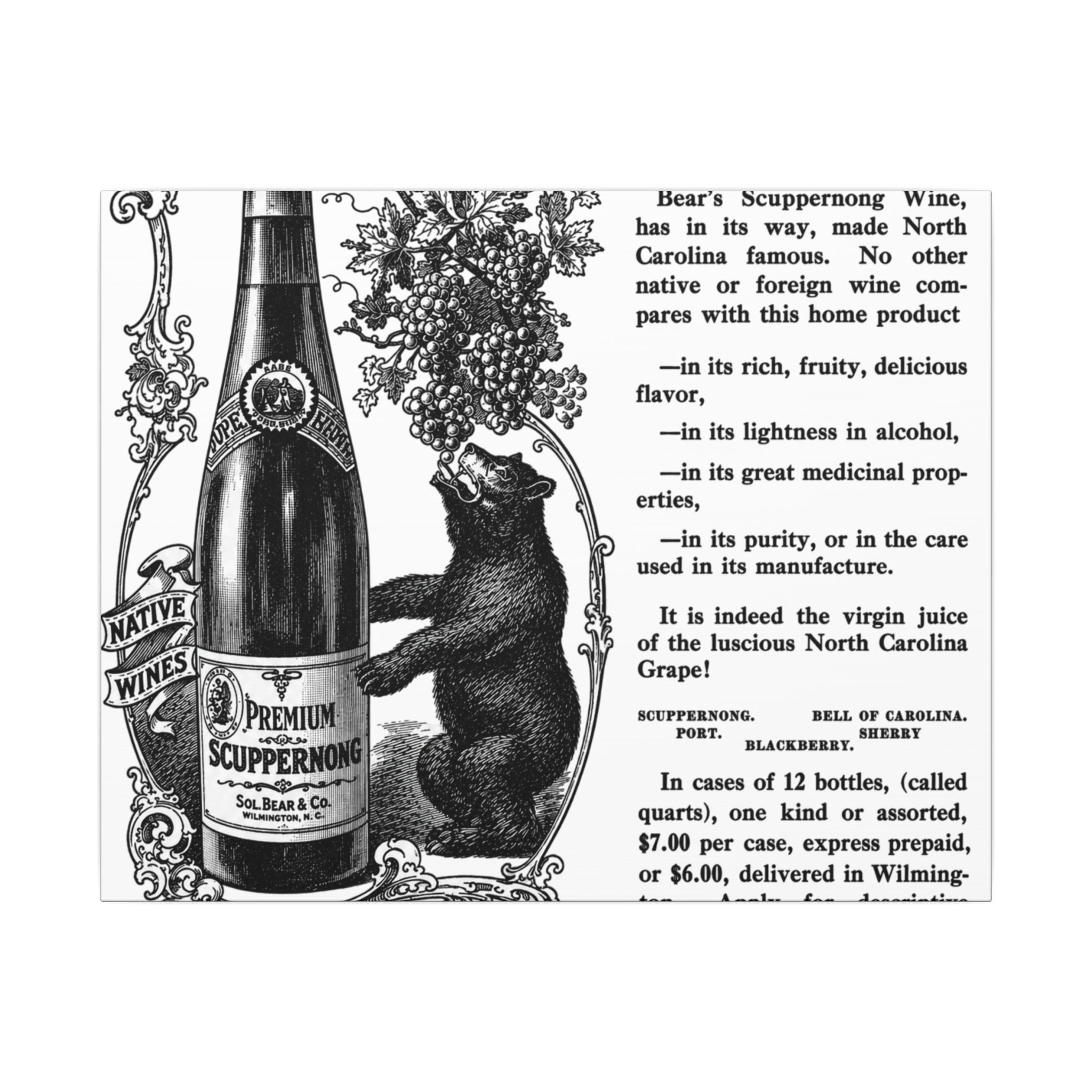 Sol Bear & Co. Scuppernong Wine — Vintage NC Newspaper Ad Canvas Print