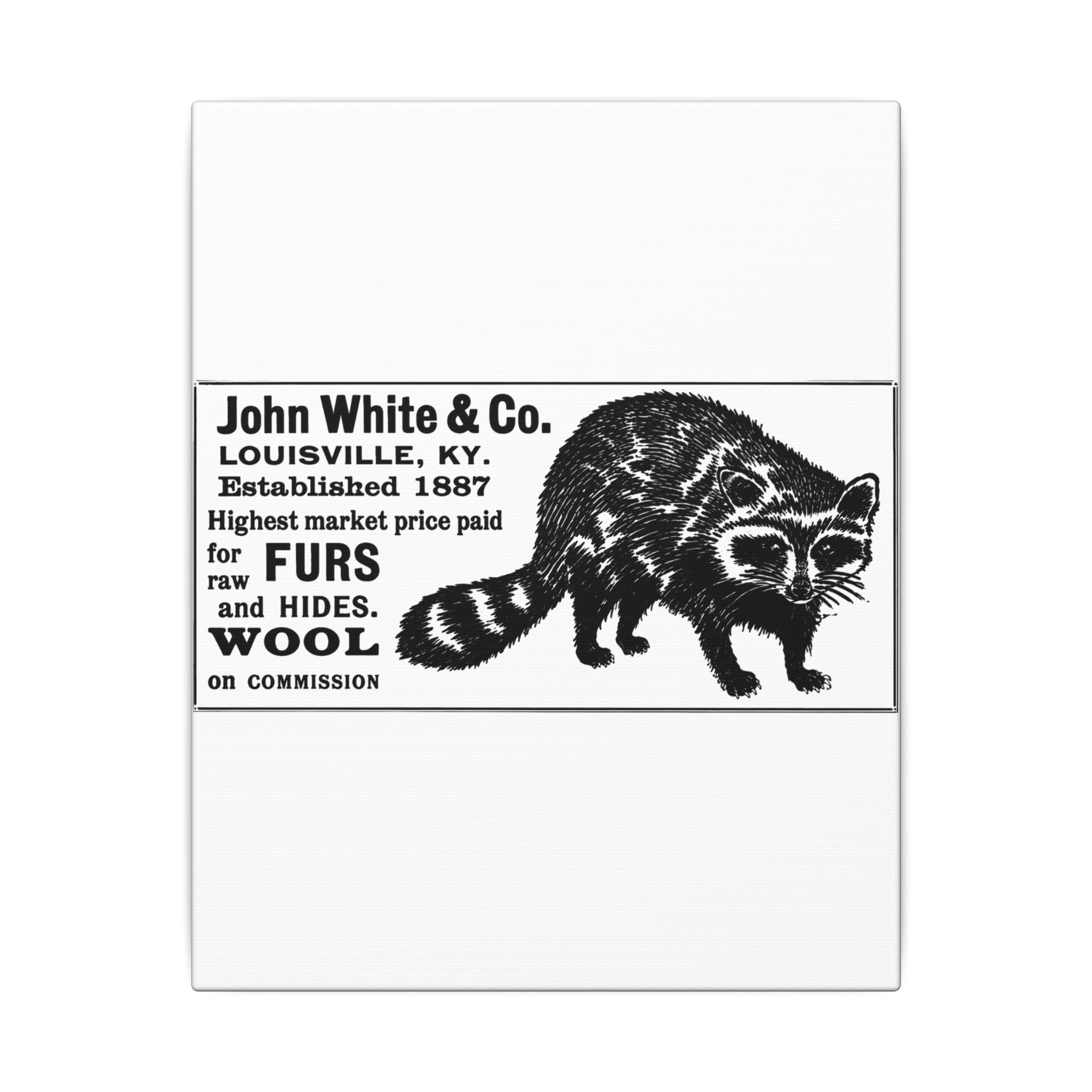 John White & Co. — Vintage NC Newspaper Ad Canvas Print
