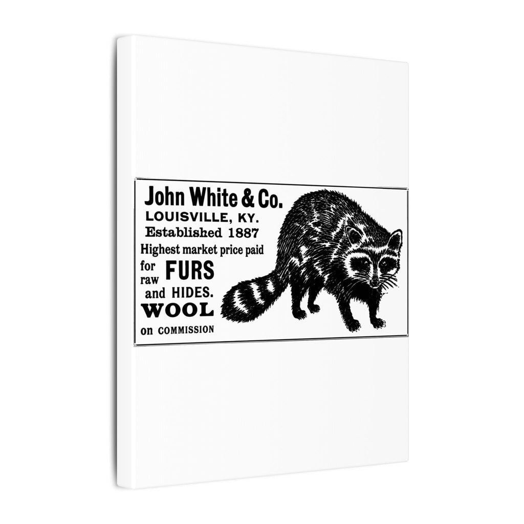 John White & Co. — Vintage NC Newspaper Ad Canvas Print