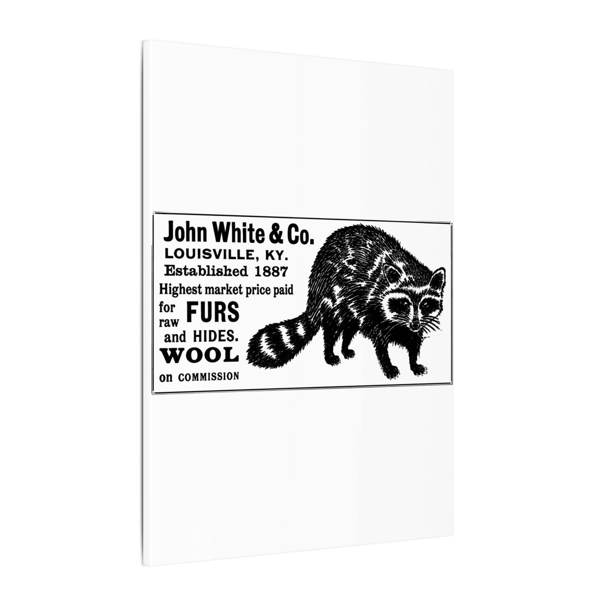 John White & Co. — Vintage NC Newspaper Ad Canvas Print