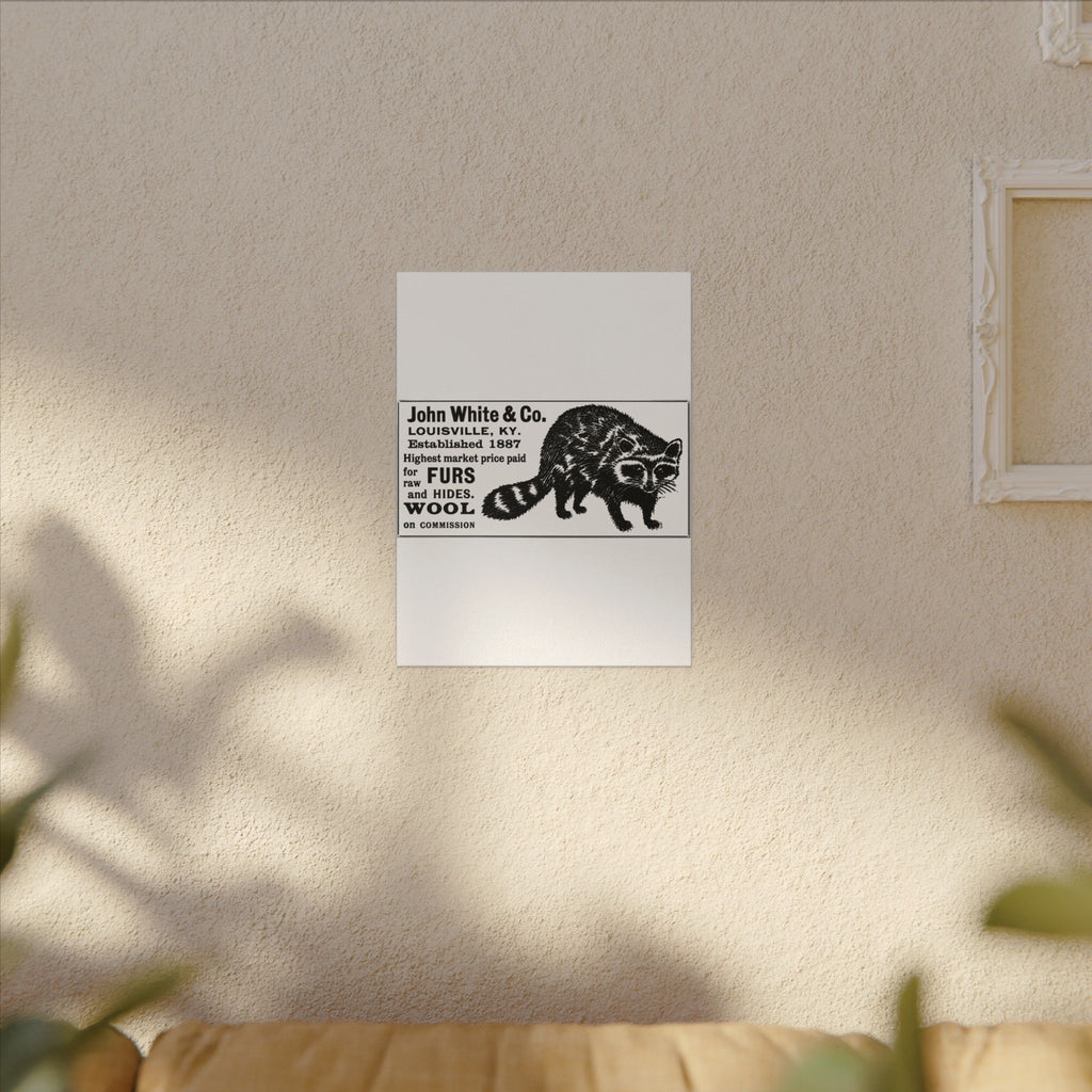 John White & Co. — Vintage NC Newspaper Ad Canvas Print