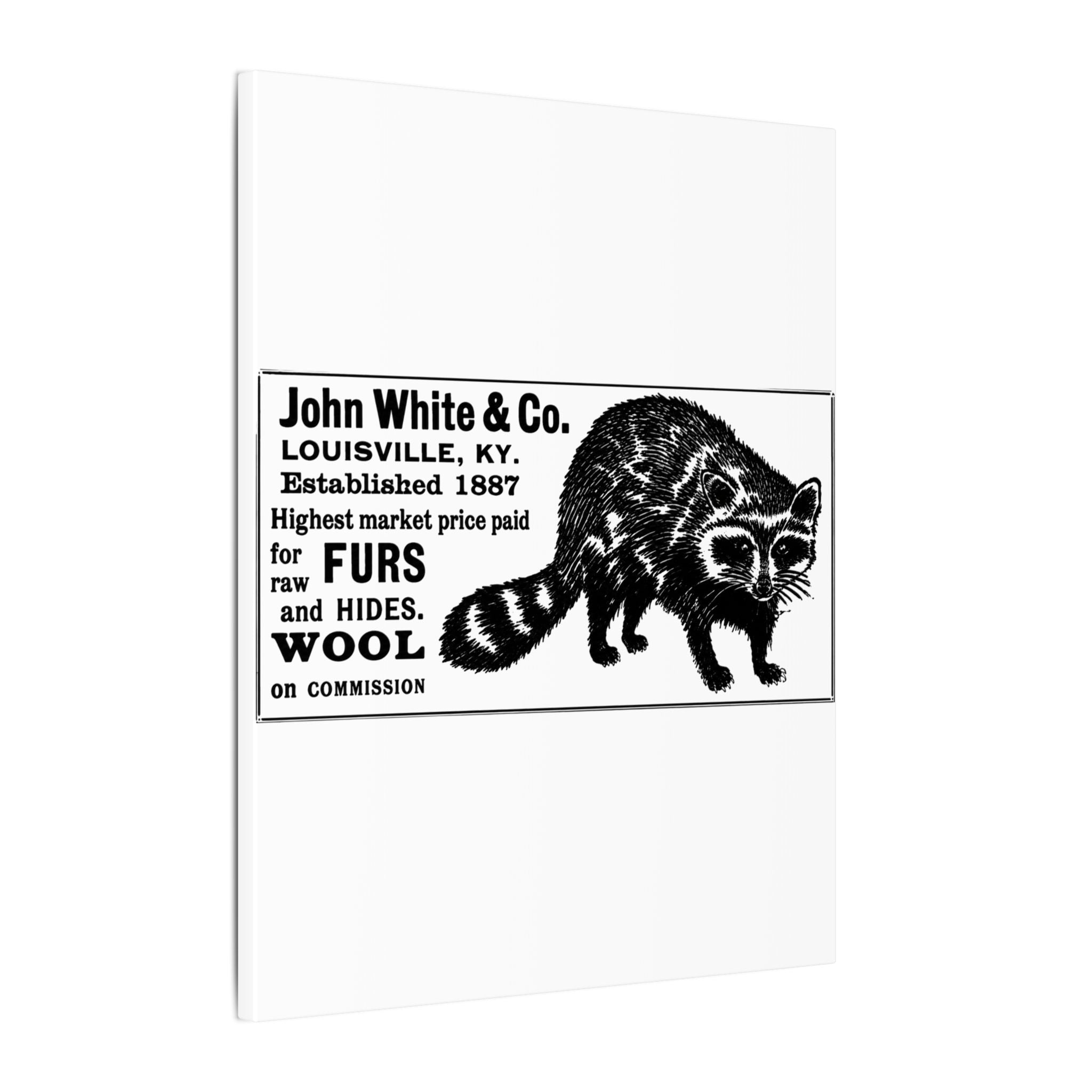 John White & Co. — Vintage NC Newspaper Ad Canvas Print