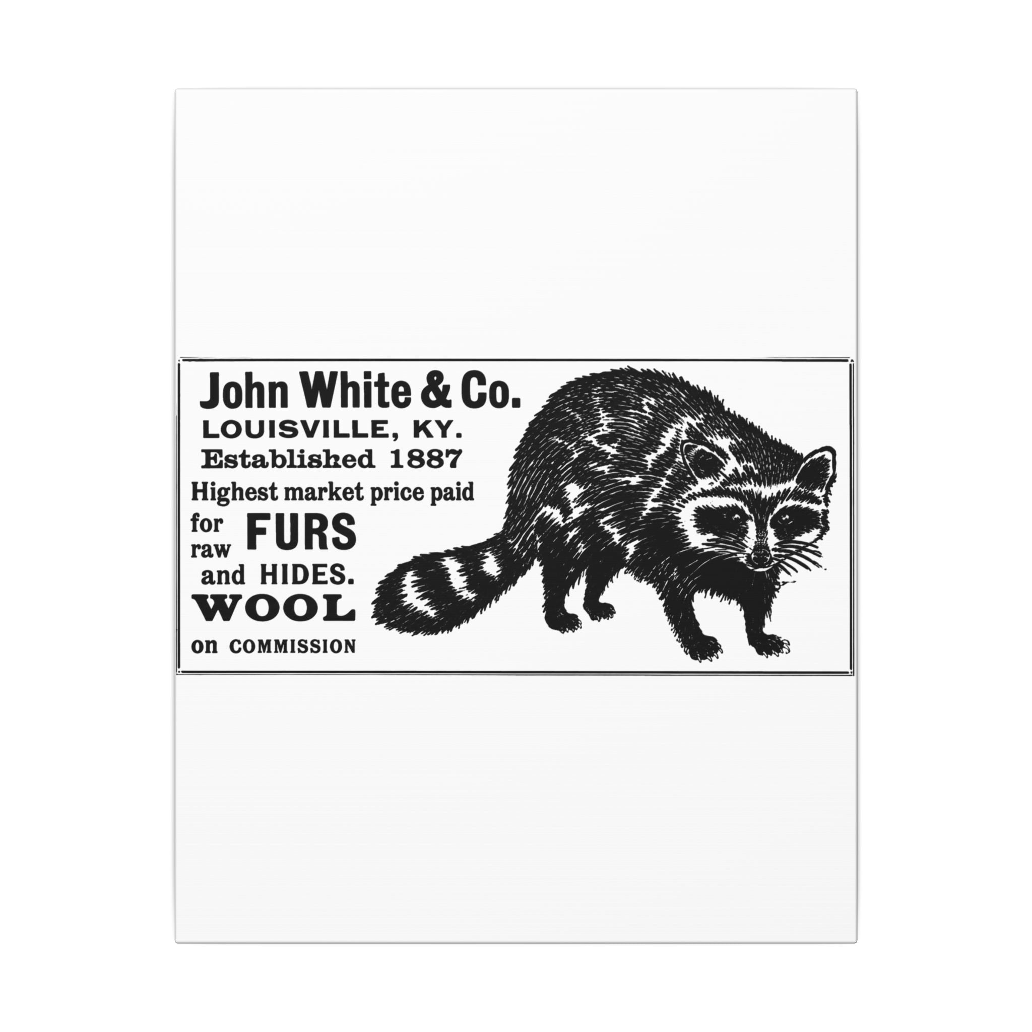 John White & Co. — Vintage NC Newspaper Ad Canvas Print